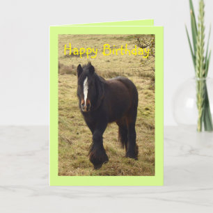 Tarjeta de cumpleaños Gypsy pony