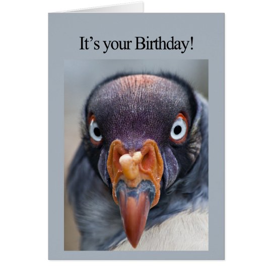Tarjeta de cumpleaños hambrienta del buitre