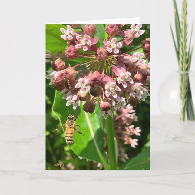 tarjeta de cumpleaños HapBEE (Anverso)