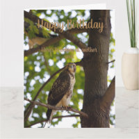Tarjeta de cumpleaños Hawk de cola roja