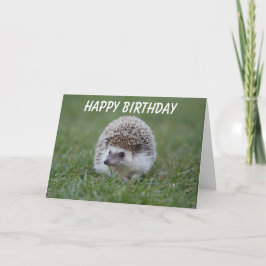 tarjeta de cumpleaños hedgehog