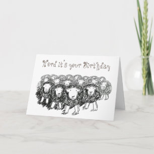 Tarjeta de cumpleaños Herdwick Flock