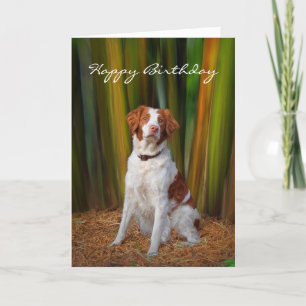 Tarjeta de cumpleaños hermosa de Bretaña