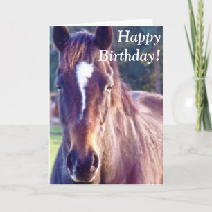 Tarjeta de cumpleaños hermosa del caballo