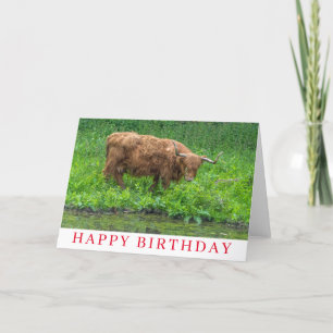 Tarjeta de cumpleaños Highland Cow