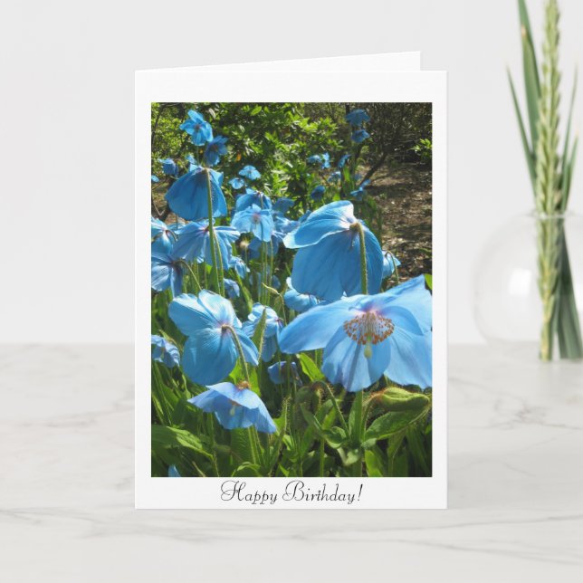 Tarjeta de cumpleaños Himalayan de la amapola azul (Anverso)