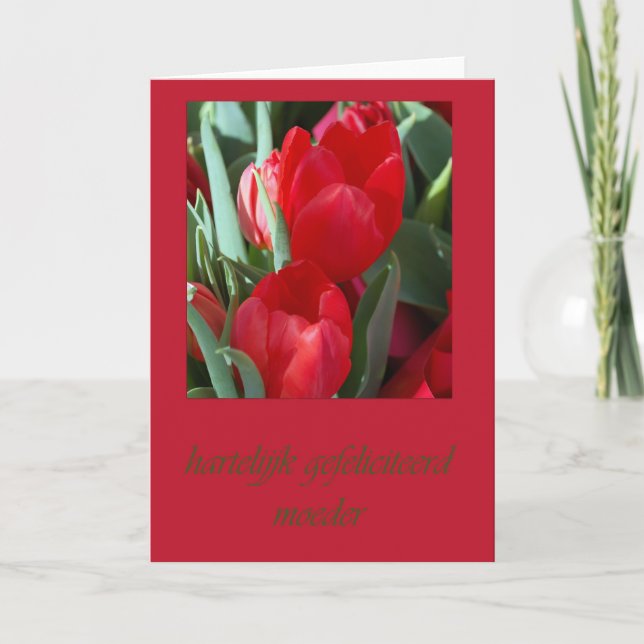 Tarjeta De Cumpleaños Holandesa Para Madre (Anverso)