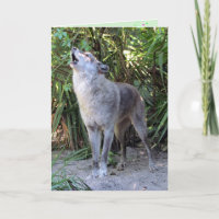 Tarjeta de cumpleaños Howling Wolf