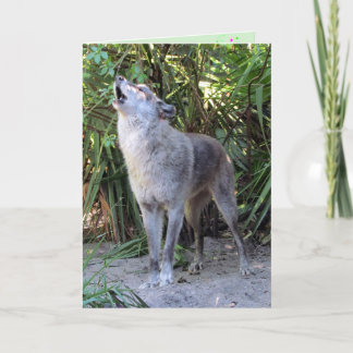 Tarjeta de cumpleaños Howling Wolf