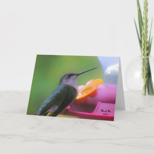 Tarjeta de cumpleaños Hummingbird (Anverso)