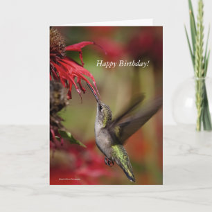 Tarjeta de cumpleaños Hummingbird
