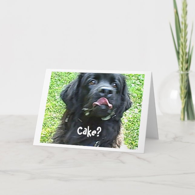 Tarjeta de cumpleaños Humor de perro de Newfoundla (Anverso)