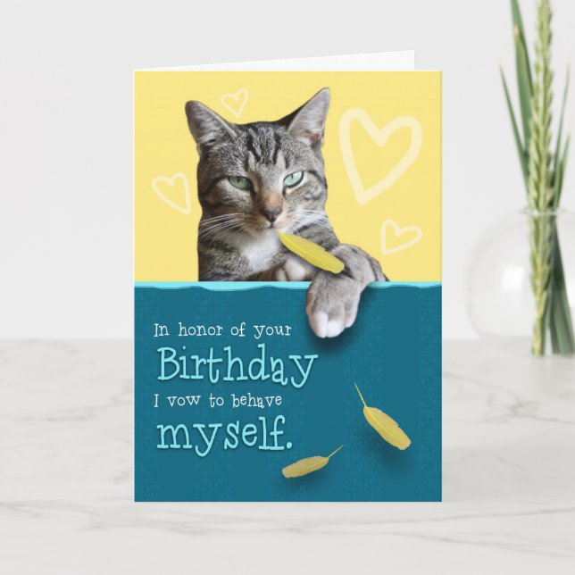 Tarjeta de cumpleaños humorística con gato travies (Anverso)