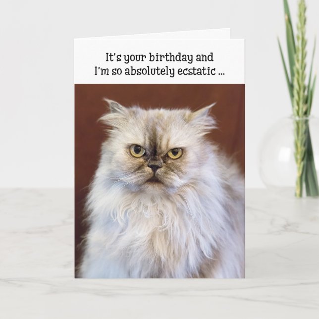 Tarjeta de cumpleaños humorística - Gato persa ext (Anverso)