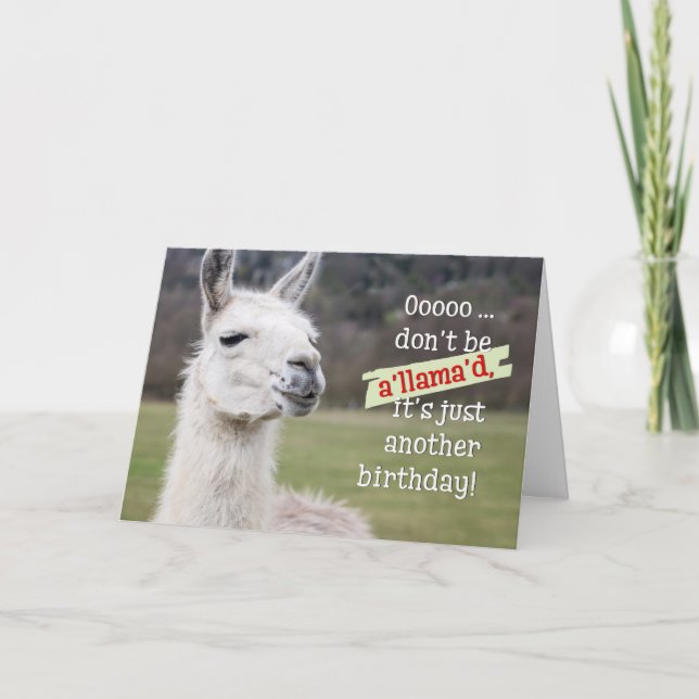 Tarjeta de cumpleaños humorística - La Llama feliz (Anverso)