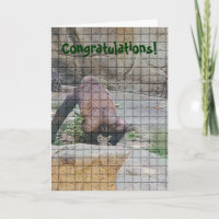 Tarjeta de cumpleaños humorística, "mal educado"