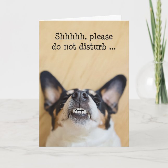Tarjeta de cumpleaños humorística - Perro con sonr (Anverso)