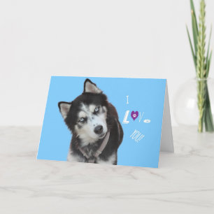 Tarjeta de cumpleaños Husky Siberian