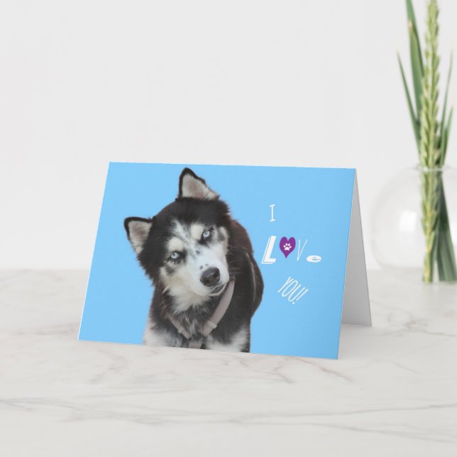 Tarjeta de cumpleaños Husky Siberian (Anverso)