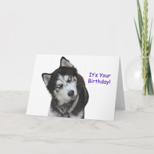 Tarjeta de cumpleaños Husky Siberian (Anverso)