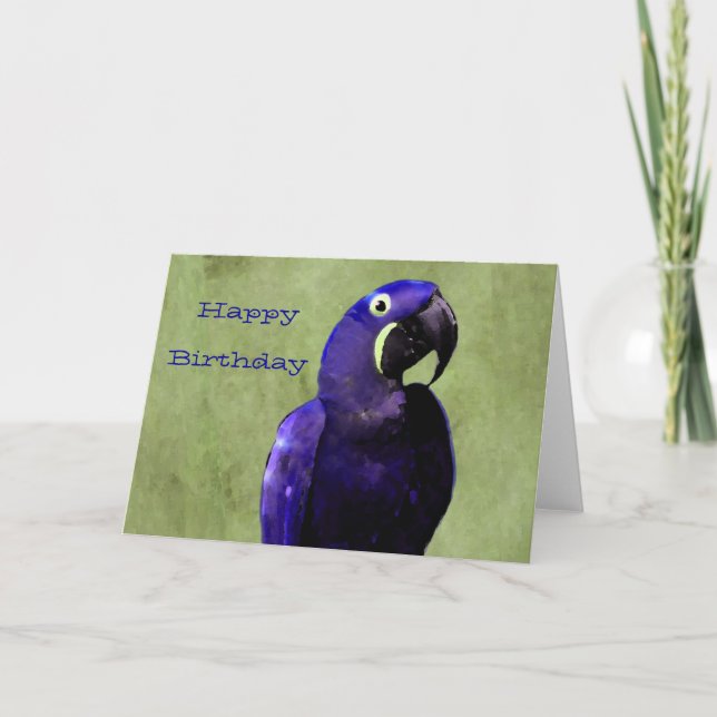 Tarjeta de cumpleaños Hyacinth Macaw (Anverso)