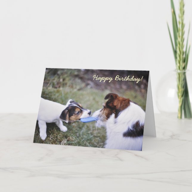 Tarjeta de cumpleaños Jack Russell (Anverso)