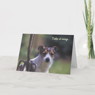 Tarjeta de cumpleaños Jack Russell
