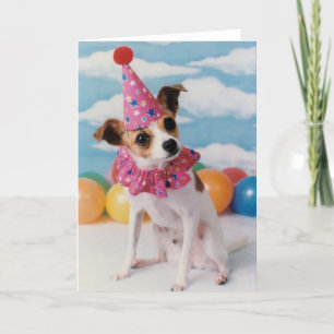 Tarjeta de cumpleaños Jack Russell Dog