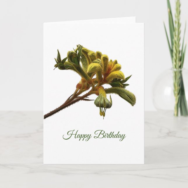 Tarjeta de cumpleaños - Kangaroo Paw (Anverso)