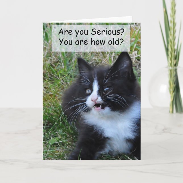 Tarjeta de cumpleaños Kitty - ¡¡¡Graciosa!!! (Anverso)