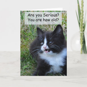Tarjeta de cumpleaños Kitty - ¡¡¡Graciosa!!!