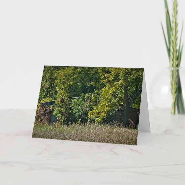 Tarjeta de cumpleaños "La manta del otoño" (Anverso)