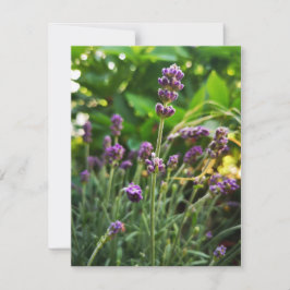 tarjeta de cumpleaños lavender