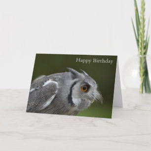 Tarjeta de cumpleaños - Lechuza gris bebé