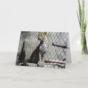 Tarjeta de cumpleaños "Leopard #2"