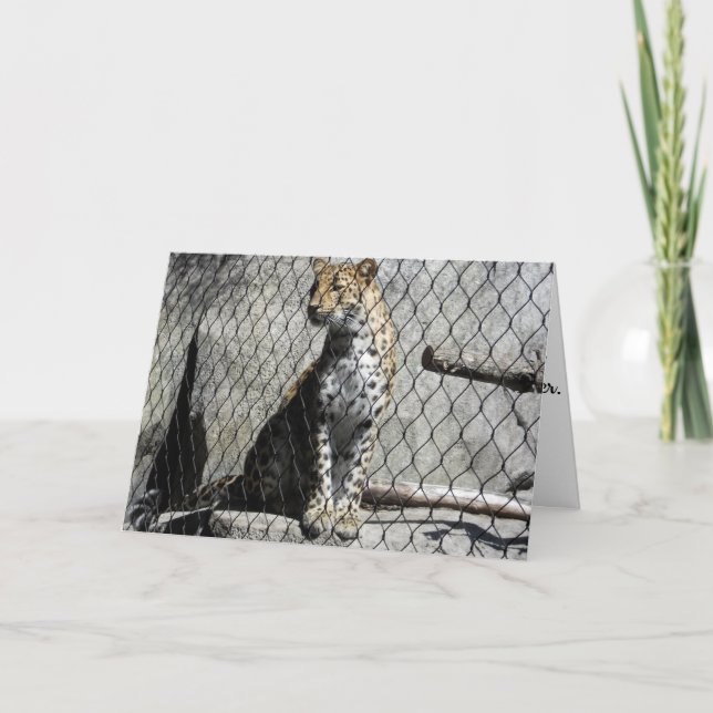 Tarjeta de cumpleaños "Leopard #2" (Anverso)