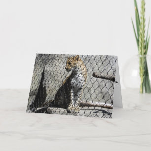 Tarjeta de cumpleaños "Leopardo #1"