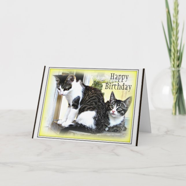 Tarjeta de cumpleaños linda de dos gatitos (Anverso)