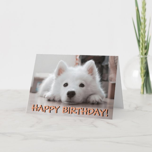 Tarjeta de cumpleaños linda de la foto del perrito (Anverso)