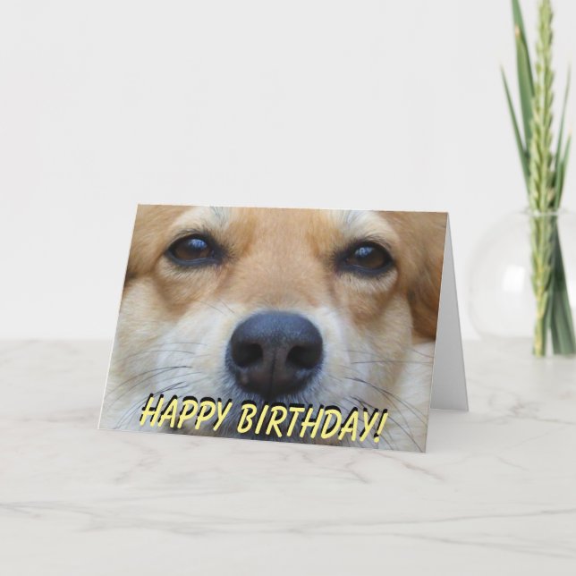 Tarjeta de cumpleaños linda del corgi (Anverso)