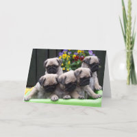 Tarjeta de cumpleaños linda del perrito del barro
