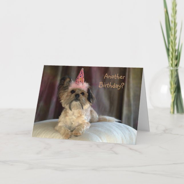 Tarjeta de cumpleaños linda del perro lanudo (Anverso)