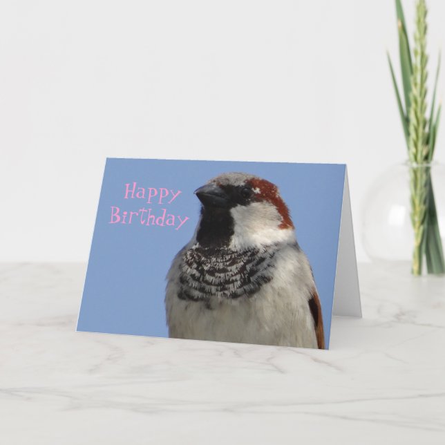 Tarjeta de cumpleaños lindo ave (Anverso)