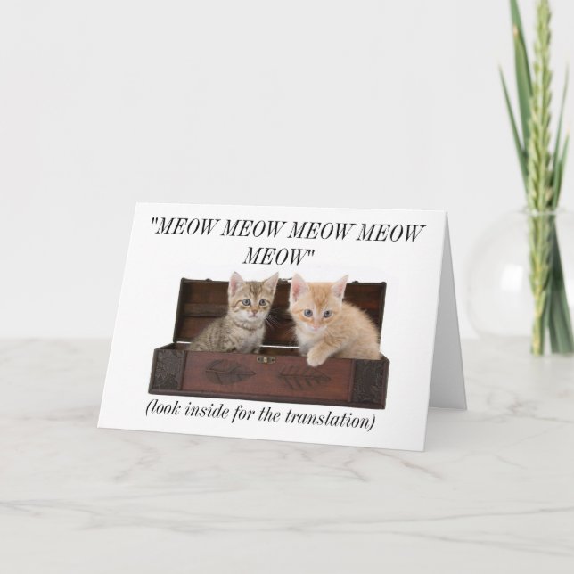 Tarjeta de cumpleaños loca divertida de señora Cat (Anverso)