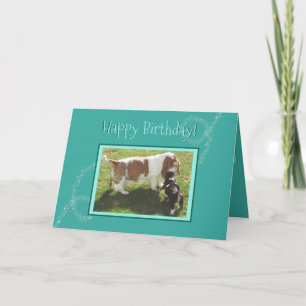 Tarjeta de cumpleaños mágica W/Basset Hounds