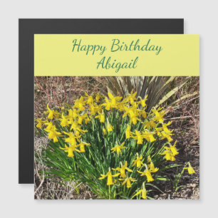 Tarjeta de cumpleaños magnética de Daffodils amari