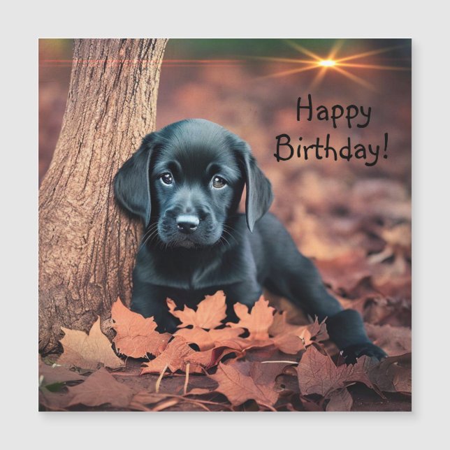 Tarjeta de cumpleaños magnética del Black Lab Pupp (Anverso)