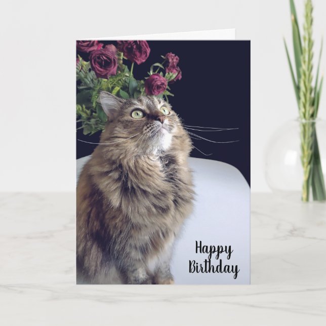 Tarjeta de cumpleaños Maine Coon Cat (Anverso)