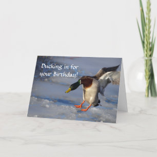 Tarjeta de cumpleaños Mallard Duck