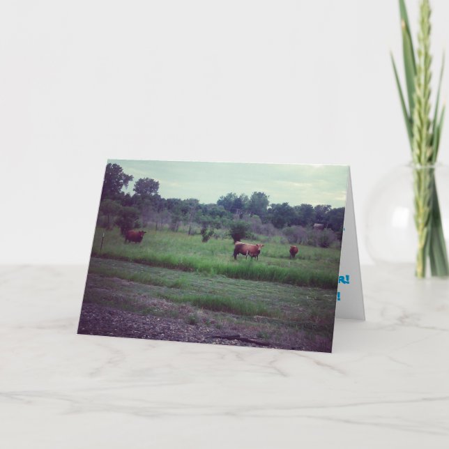 Tarjeta de cumpleaños "Manada de Vacas" (Anverso)